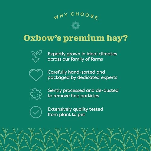 OXBOW ANIMAL HEALTH WESTERN TIMOTHY HAY, BUNNY FOOD, ALL NATURAL HAY FOR RABBITS, GUINEA PIG, CHINCHILLAS, HAMSTERS & GERBILS, RABBIT TREATS, VETERINARIAN RECOMMENDED, 15 OZ.
