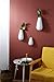 Sibon Wall Mounted, Hanging Decorative Flower Planter Vase Ceramic,White,3PCS