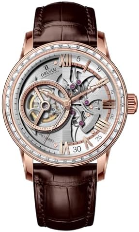 Amazon.com: OBLVLO Luxury Brand Rotor Concept Stainless Steel