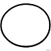 Pentair 354533 O-Ring Lid & Housing