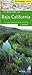 The Rough Guide to Baja California Map (Rough Guide Country/Region Map) by