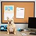 Blue Summit Supplies 24 Inch x 36 Inch Corkboard with Black Wood Frame, Bulletin Board with Included Push Pins for Office, Classroom, or Home, Mounting Hardware Included