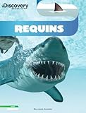 Discovery Education: Requins by 