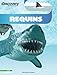 Discovery Education: Requins by 