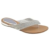 Kylie 09 Rhinestone Embellished Thong Flat Sandals Silver