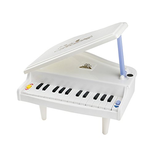 yoptote Piano Keyboard Toy 14 Keys Electronic Musical Multifunctional Instruments Girls Princess Toys for Kids over 3 Years