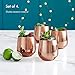 VonShef Copper Stemless Wine Glasses, Stainless Steel Tumbler 12oz Double Walled Insulated, Set of 4 Wine Drinks Tumblers with Gift Box