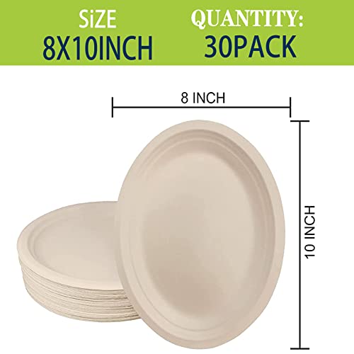 BangShou Disposable Oval Paper Plate Heavy Duty Bulk 10"30Pack