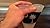 South Carolina Flag Silicone Pint Cup - The Indestructible Pint Glass for Tailgating, Camping, Hiking, Boating and Growler Drinking