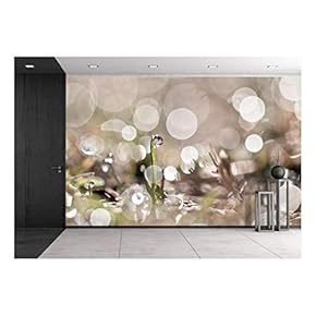 Close-Up of Morning Dew in Meadow with Incredible Reflections - Removable Wall Mural | Self-Adhesive Large Wallpaper - 66x96 inches