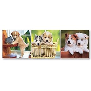Wall26-3 Panel Canvas Wall Art- Cute Puppy -Giclee Painting Wall Bedroom Living Room Home Decoration - 12"x12"x3 Panels