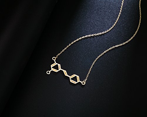 Rosa Vila Wine Molecule Necklace, Wine Lover Gifts for Women, Chic Geeky Jewelry, for Wine Lovers, Makers, and Enthusiasts, 19" Chain (Gold Tone), Mother's Day