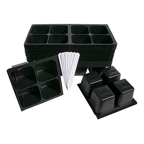 320 Cells Seedling Starter Trays for Seed Germination and Starting +5 Plant Labels (80, 4-cell Trays) 804 Pattern for Gardening, Greenhouses, and Hydroponics