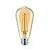 Philips LED Amber Glass ST19 Dimmable Vintage Filament Light Bulb: 350-Lumen, 2000 Kelvin, 4.5-Watt (60-Watt Equivalent) E26 Base, Amber, 1-Pack