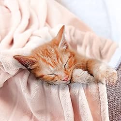 Bertte Plush Throw Blanket Super Soft Fuzzy Warm
