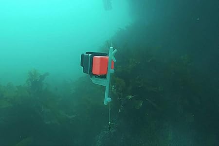 waste fishing line holder