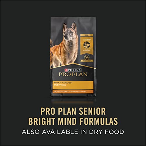 Purina Pro Plan Senior Wet Dog Food, BRIGHT MIND 7+ Beef and Brown Rice Entree 10 oz. Tub