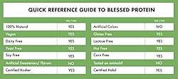 BLESSED Vegan Protein Powder - Plant Based Protein