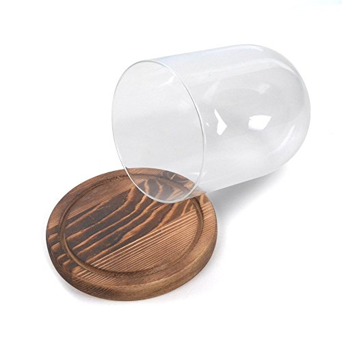 Reelva Decorative Clear Glass Cloche Bell Jar Display Case (D11H15cm) - Thumbnail 3