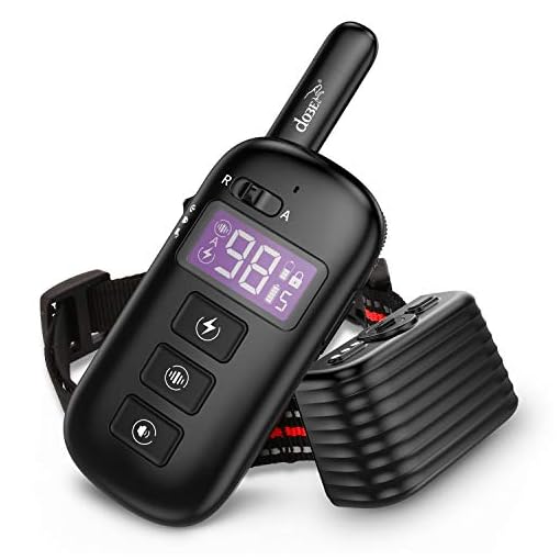 shock collar for 10lb dog