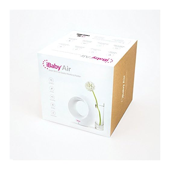 ibaby air monitor