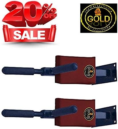 GOLD FITNESS Wall Mounting Bar for Dips, Leg Raise and Multiple Exercises