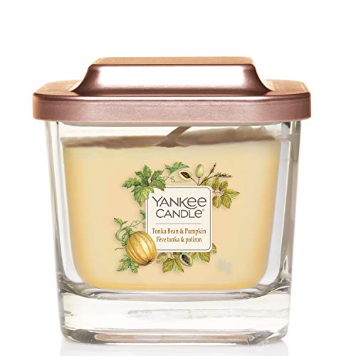 Tonka Bean \U0026 Pumpkin