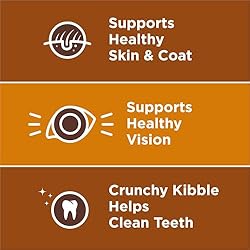 Purina Dog Chow Little Bites With Real Chicken And