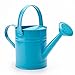 1.5 Letre Multi-color Metal Watering Can,Kids Children Garden Watering Bucket with Anti-rust Powder Coating Treatment and Beautiful Blue Color