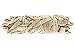 Alternative Imagination Premium California White Sage Smudge Stick (6 Inch), Packaged in USA