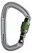 Positron Screwgate Carabiner