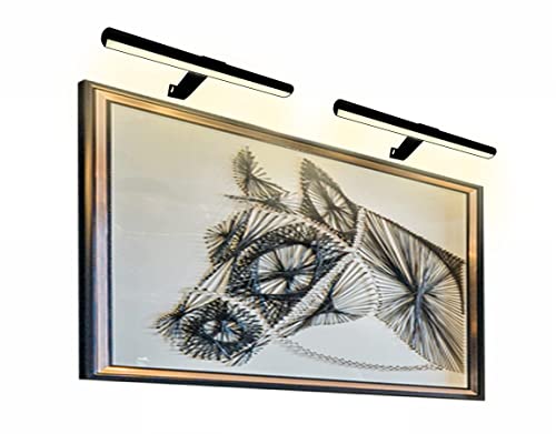 Xuolder LED Picture Lights,16 Inch Wireless Art