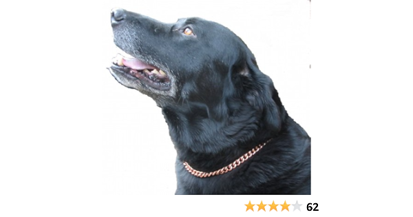 rhinestone dog collars