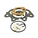 Briggs & Stratton 792006 Carburetor Overhaul Kit Replaces 696998/792007/697001 primary