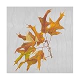 Trademark Fine Art Autumn Leaves III by Dianne