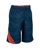 Under Armour Boys' UA Volley Boardshorts