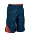 Under Armour Boys' UA Volley Boardshorts