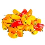 Generic 100+ Sweet Snacking Pepper Seeds Red Orange