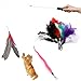 6 Pcs Assorted Feather Cat Interactive Toy,Kany Retractable Wand Rod With 6 Pcs Feather Teaser Cat Catcher - Perfect Teaser for Exercising Kitten and Cat