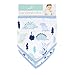 aden by aden + anais bandana bib 2 pack, dinos
