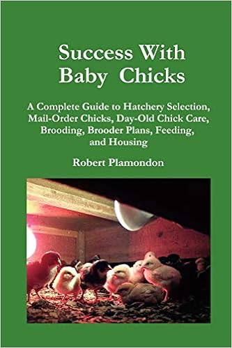 Success With Baby Chicks A Complete Guide To Hatchery Selection