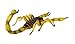 Safari Ltd  Hidden Kingdom Insects Scorpion