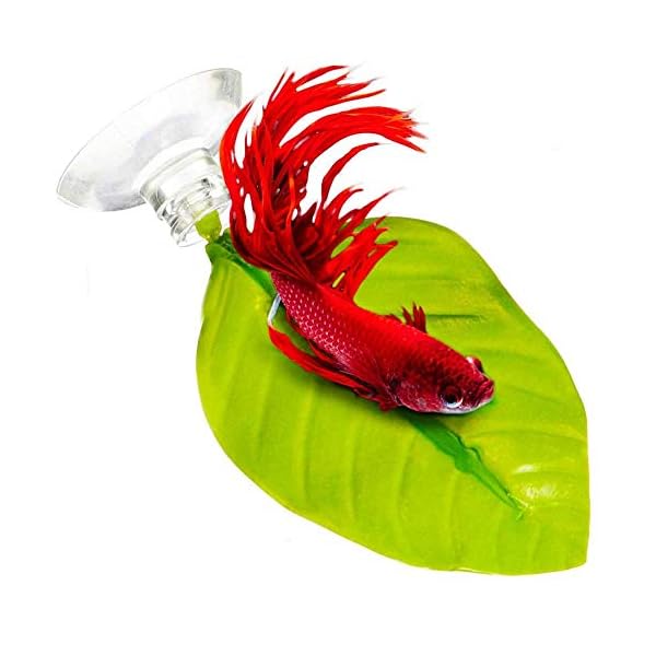 HAODEE Piante Acquario Piante Acquario Artificiali Decorazioni e Accessori per acquari Piante Artificiali per acquari…