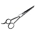 Boslion Barber Hair Cutting Scissors/Shears, Stainless Steel