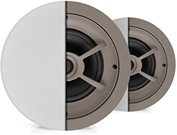 proficient speakers ceiling