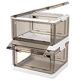 Storage Bins with Lids, 2 Packs 6.5Gal Plastic