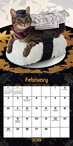 Sushi Cat Calendar 2019 Set - Deluxe 2019 Funny Sushi Cat Mini Calendar (Bundle with Over 100 Calendar Stickers)