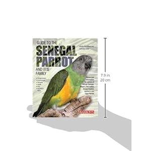 Guide to the Senegal Parrot and Its Family