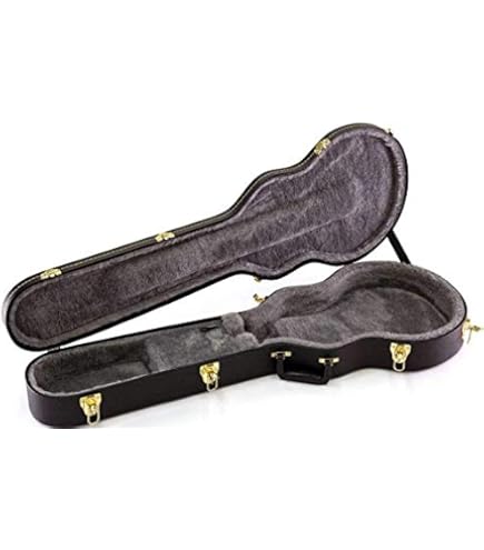 Epiphone Case for Epiphone Les Paul Standard & Custom Case