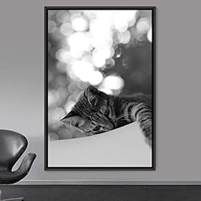 signwin Framed Canvas Wall Art Duotone Cat Animals...